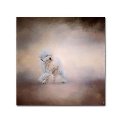 Trademark Fine Art ALI13796-C1414GG Canvas Art