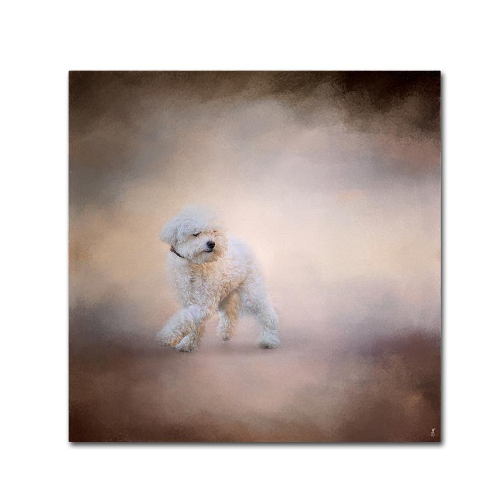 Trademark Fine Art ALI13796-C1414GG Canvas Art