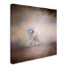 Trademark Fine Art ALI13796-C1414GG Canvas Art view 2