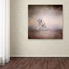 Trademark Fine Art ALI13796-C1414GG Canvas Art view 3