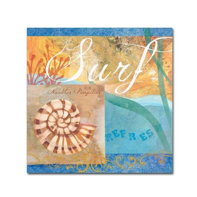 Seashells IV by Fiona Stokes-Gilbert, 14x14-Inch Canvas Wall Art