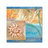 Seashells IV by Fiona Stokes-Gilbert, 14x14-Inch Canvas Wall Art view 1