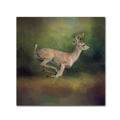 Trademark Fine Art ALI13820-C1414GG Canvas Art