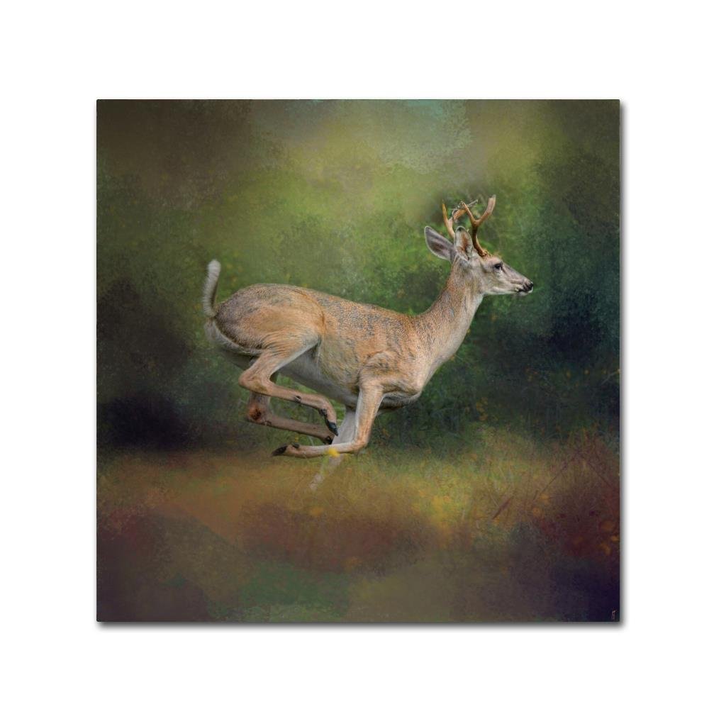 Trademark Fine Art ALI13820-C1414GG Canvas Art
