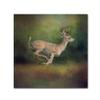 Trademark Fine Art ALI13820-C1414GG Canvas Art view 1