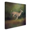 Trademark Fine Art ALI13820-C1414GG Canvas Art view 2