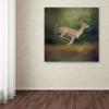 Trademark Fine Art ALI13820-C1414GG Canvas Art view 3