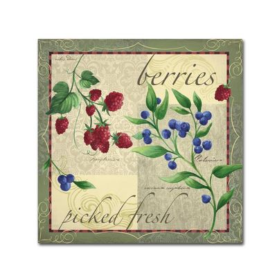 Trademark Fine Art ALI13574-C1414GG Canvas Art