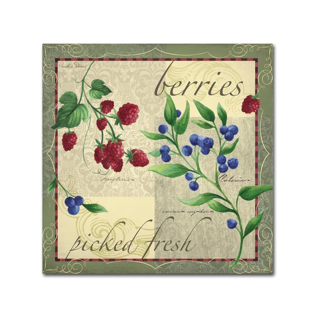 Trademark Fine Art ALI13574-C1414GG Canvas Art