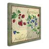 Trademark Fine Art ALI13574-C1414GG Canvas Art view 2