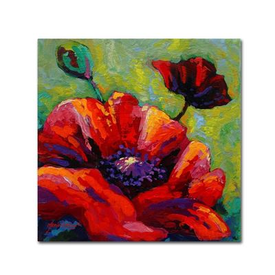 Trademark Fine Art ALI15451-C1414GG Canvas Art