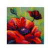 Trademark Fine Art ALI15451-C1414GG Canvas Art view 1