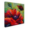 Trademark Fine Art ALI15451-C1414GG Canvas Art view 2