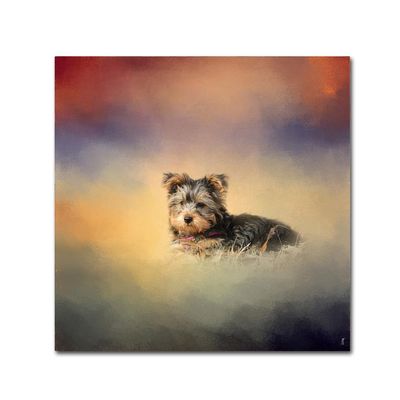 Trademark Fine Art Yorkie Loving The Leaves by Jai Johnson, 14x14-Inch