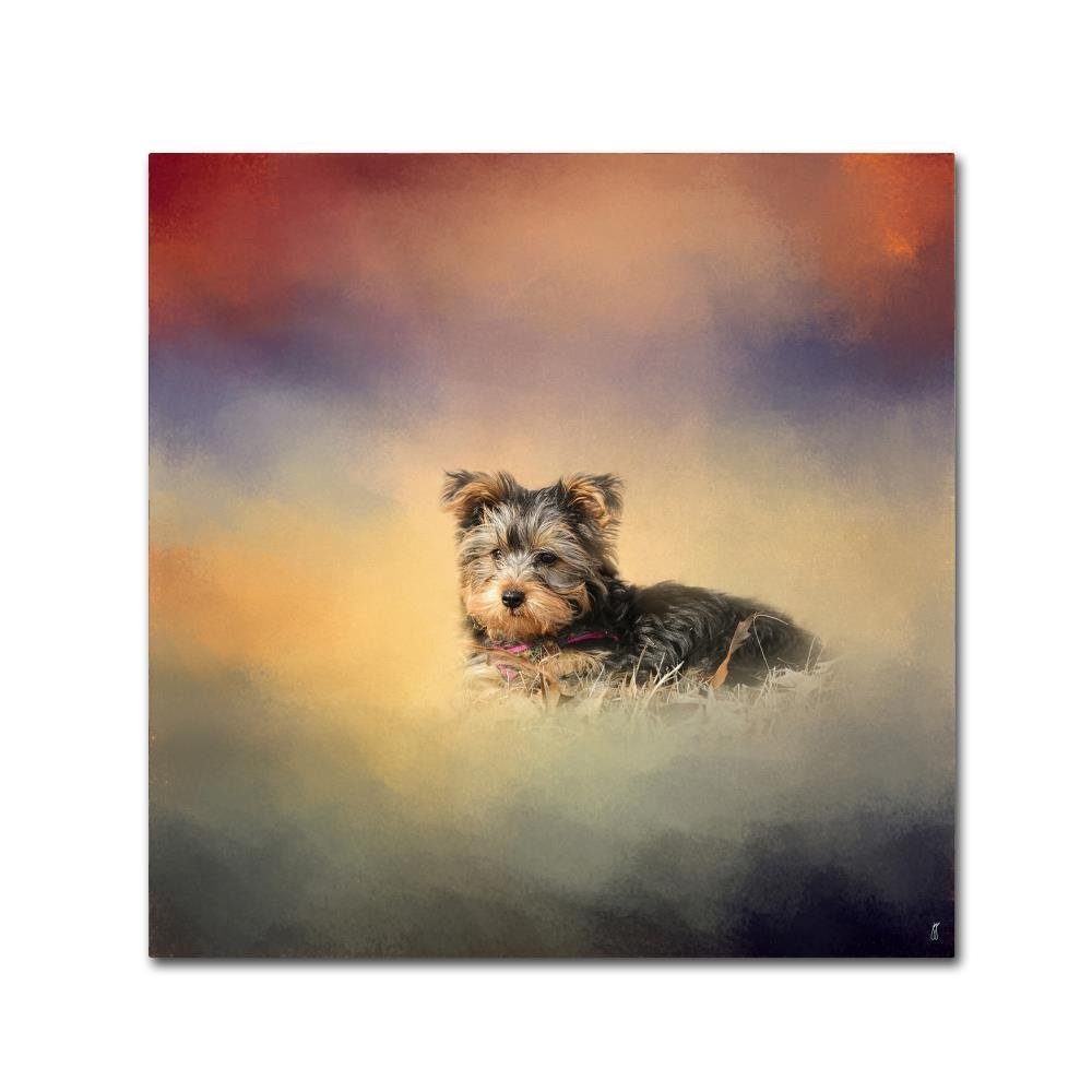 Trademark Fine Art Yorkie Loving The Leaves by Jai Johnson, 14x14-Inch