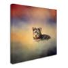Trademark Fine Art Yorkie Loving The Leaves by Jai Johnson, 14x14-Inch view 2