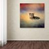 Trademark Fine Art Yorkie Loving The Leaves by Jai Johnson, 14x14-Inch view 3