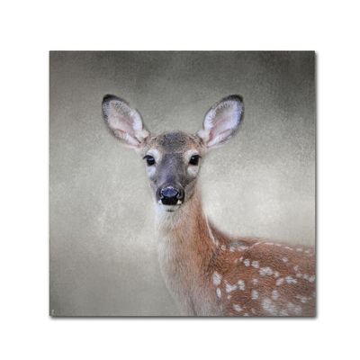 Trademark Fine Art ALI13882-C1414GG Canvas Art