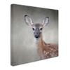 Trademark Fine Art ALI13882-C1414GG Canvas Art view 2
