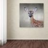 Trademark Fine Art ALI13882-C1414GG Canvas Art view 3