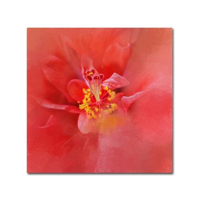 Salmon Hibiscus 1 by Jai Johnson, 14x14-Inch Canvas Wall Art