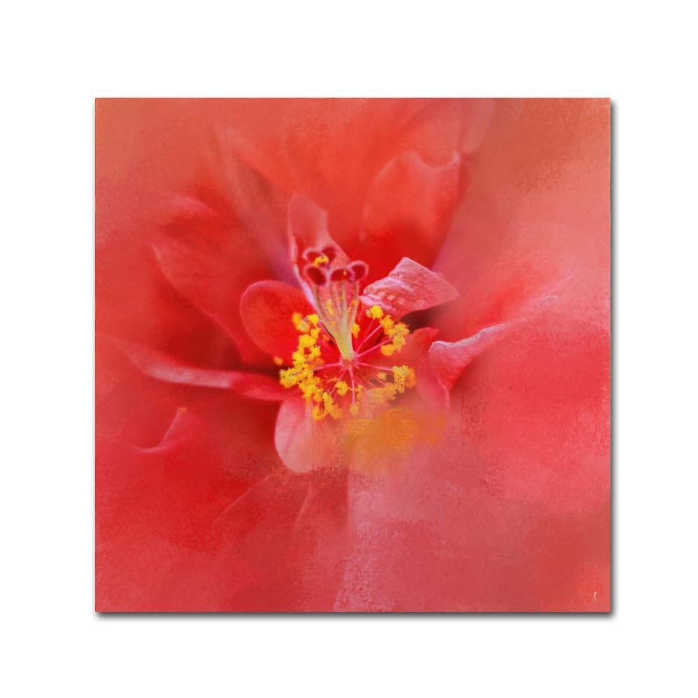 Salmon Hibiscus 1 by Jai Johnson, 14x14-Inch Canvas Wall Art