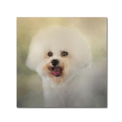 Trademark Fine Art ALI13881-C1414GG Canvas Art