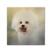 Trademark Fine Art ALI13881-C1414GG Canvas Art view 1