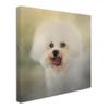 Trademark Fine Art ALI13881-C1414GG Canvas Art view 2