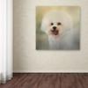 Trademark Fine Art ALI13881-C1414GG Canvas Art view 3