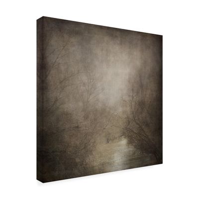 Wrapped Canvas Wall Art - Jai Johnson 'Hidden Waters' Wall Art for Living Room, Bedroom, or Office Dcor - 14x14