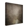 Wrapped Canvas Wall Art - Jai Johnson 'Hidden Waters' Wall Art for Living Room, Bedroom, or Office Dcor - 14x14 view 1