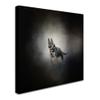 German Shepherd Puppy Feet First by Jai Johnson, 14x14-Inch Canvas Wall Art view 2