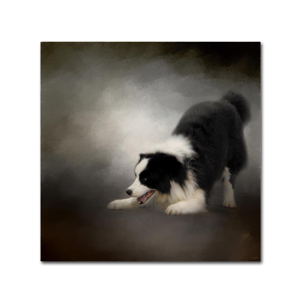 Trademark Fine Art ALI13935-C1414GG Canvas Art
