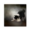 Trademark Fine Art ALI13935-C1414GG Canvas Art view 1