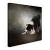 Trademark Fine Art ALI13935-C1414GG Canvas Art view 2