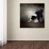 Trademark Fine Art ALI13935-C1414GG Canvas Art view 3