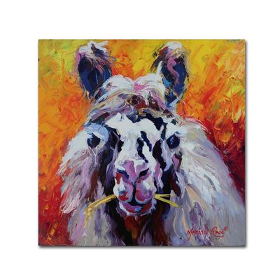 Trademark Fine Art ALI15439-C1414GG Canvas Art
