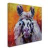 Trademark Fine Art ALI15439-C1414GG Canvas Art view 2