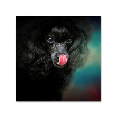 Trademark Fine Art Treat Snatcher Toy Black Poodle by Jai Johnson, 14x14-Inch