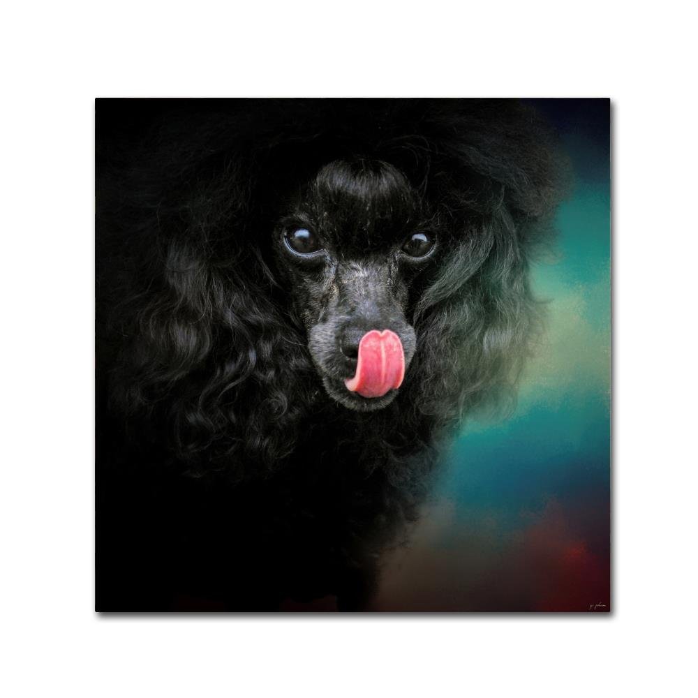 Trademark Fine Art Treat Snatcher Toy Black Poodle by Jai Johnson, 14x14-Inch