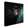 Trademark Fine Art Treat Snatcher Toy Black Poodle by Jai Johnson, 14x14-Inch view 2