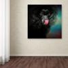 Trademark Fine Art Treat Snatcher Toy Black Poodle by Jai Johnson, 14x14-Inch view 3