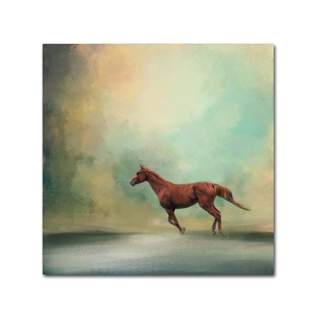 Arabian Run by Jai Johnson, 14x14-Inch Canvas Wall Art