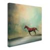 Arabian Run by Jai Johnson, 14x14-Inch Canvas Wall Art view 2