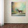 Arabian Run by Jai Johnson, 14x14-Inch Canvas Wall Art view 3