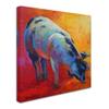 Trademark Fine Art ALI15447-C1414GG Canvas Art view 2