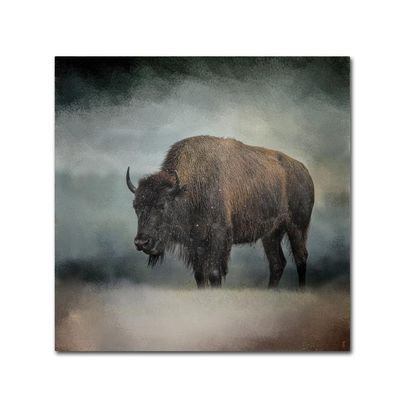 Trademark Fine Art ALI13971-C1414GG Canvas Art