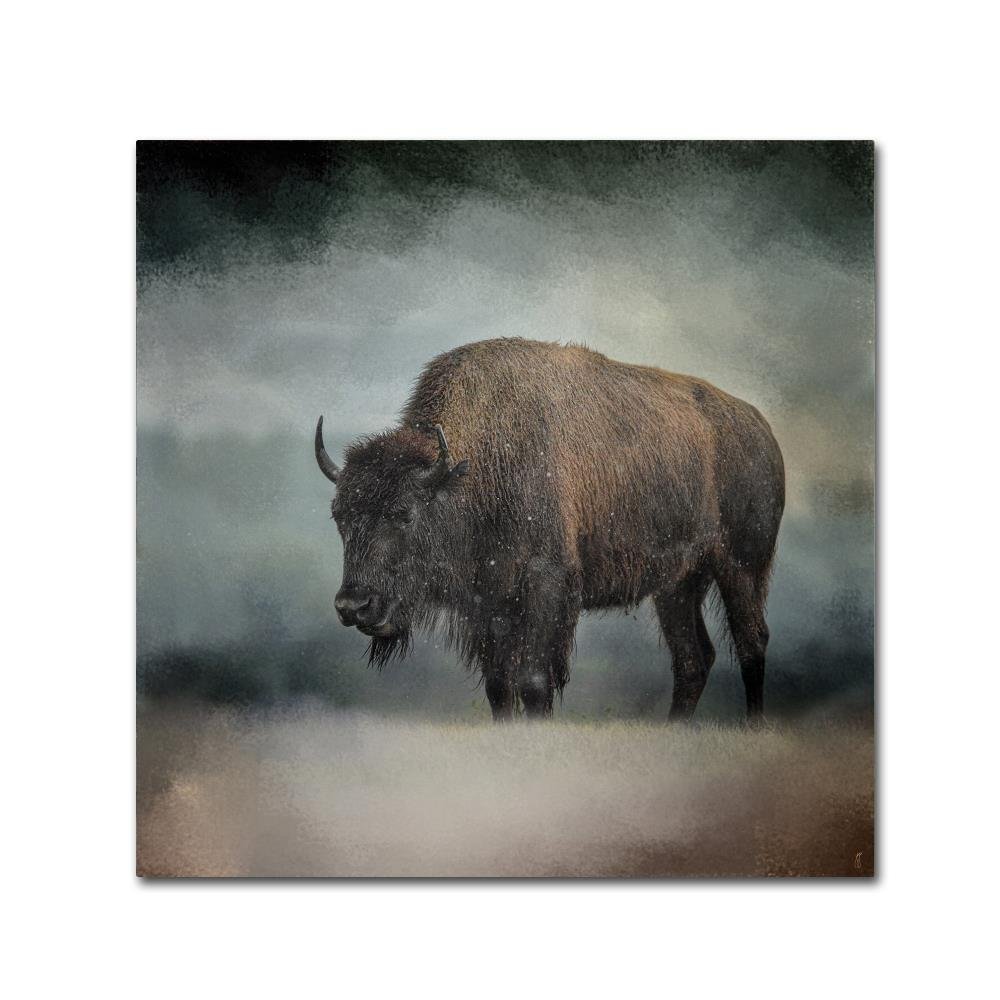 Trademark Fine Art ALI13971-C1414GG Canvas Art