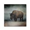 Trademark Fine Art ALI13971-C1414GG Canvas Art view 1